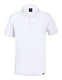 Tricou polo rpet | AP721968-01_XXL