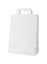 Sacosa din hartie | AP718509-01