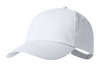 Baseball cap | AP733930-01