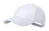 Baseball cap | AP733933-00