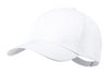 Baseball cap | AP733934-06
