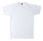 | AP781853-01_L