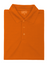 Tricou polo | AP791933-01_L