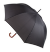 Umbrelă | AP808410-10