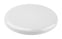 Frisbee | AP809473-01