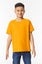 HEAVY COTTON™ YOUTH T-SHIRT | GIB5000