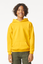 SOFTSTYLE® MIDWEIGHT FLEECE YOUTH HOODIE | GIBSF500