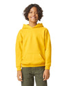 SOFTSTYLE® MIDWEIGHT FLEECE YOUTH HOODIE | GIBSF500