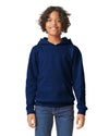 SOFTSTYLE® MIDWEIGHT FLEECE YOUTH HOODIE | GIBSF500