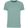 BIO150IC MEN'S ROUND NECK T-SHIRT | KA3025IC