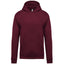 KIDS’ HOODED SWEATSHIRT | KA477