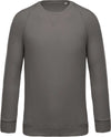 MEN'S ORGANIC COTTON CREW NECK RAGLAN SLEEVE SWEATSHIRT | KA480