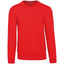 CREW NECK SWEATSHIRT | KA488