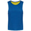 MULTI-SPORTS REVERSIBLE BIB | PA042