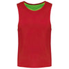 MULTI-SPORTS REVERSIBLE BIB | PA042
