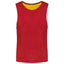 MULTI-SPORTS REVERSIBLE BIB | PA042