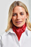 'COLOURS ORIGINALS' PLAIN BUSINESS SCARF | PR730