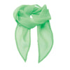 'COLOURS COLLECTION' PLAIN CHIFFON SCARF | PR740