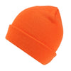 AXTON - CUFFED BEANIE | RETRC325