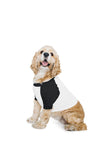 DOG POLY-COTTON 3/4 SLEEVE RAGLAN T-SHIRT | AABB953