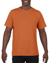 PERFORMANCE® ADULT CORE T-SHIRT | GI46000