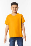 HEAVY COTTON™ YOUTH T-SHIRT | GIB5000