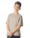 SOFTSTYLE® YOUTH T-SHIRT | GIB64000