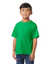 SOFTSTYLE® MIDWEIGHT YOUTH T-SHIRT | GIB65000