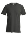 MEN'S SHORT-SLEEVED V-NECK T-SHIRT | KA357