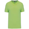 MEN'S SHORT-SLEEVED V-NECK T-SHIRT | KA357