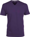 MEN'S SHORT-SLEEVED V-NECK T-SHIRT | KA357