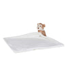 MONKEY COMFORTER | MM020