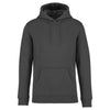 ECO-FRIENDLY UNISEX HOODED SWEATSHIRT | NS401