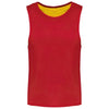 MULTI-SPORTS REVERSIBLE BIB | PA042